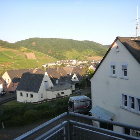 Ferienwohnung Bernkastel-Kues - Alte Rebschule エクステリア 写真